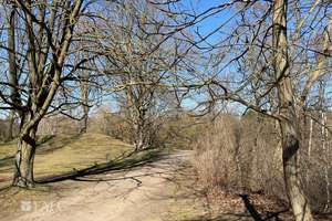Wohnen am Heidbergsee – Die vollständige Adresse der Immobilie erhältst du vom Anbieter., 38124 Heidberg-Melverode, Braunschweig – Vorschaubild 14