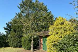 Landleben pur in Charlottendorf! – Oldenburg (Kreis) – Vorschaubild 26