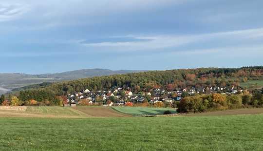 Bild von Naturnahe Stadt-Villa – neuwertig und energieeffizient