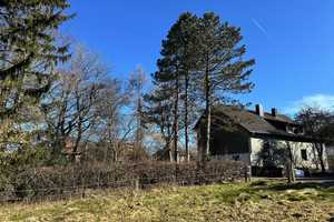 Haus mit Stall in Roetgen – Aachen (Kreis) – Vorschaubild 5
