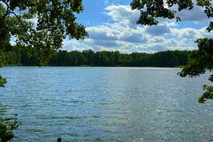 Seegrundstück mit direkten Seezugang + Waldstück am See – Mäckersee 2, 16227 Eberswalde – Vorschaubild 7