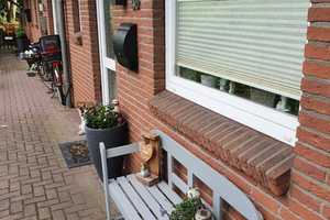  3-Zimmer-Reihenhaus in Husum – Nordfriesland (Kreis) – Vorschaubild 10
