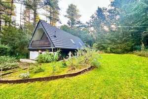 Naturliebhaber aufgepasst!! Einmalige Gelegenheit **ein Haus mitten im Wald**!!! – Kleve (Kreis) – Vorschaubild 23