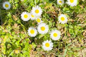 Property thumbnail 42