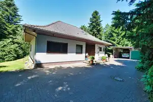 Verborgener Diamant - Einfamilienhaus mitten im Grünen auf großem Grundstück in See und Schlei Nähe. – Schleswig-Flensburg (Kreis) – Vorschaubild 15
