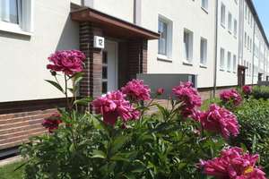 2-Raum Wohnung / Stadtfeld West / 65m²