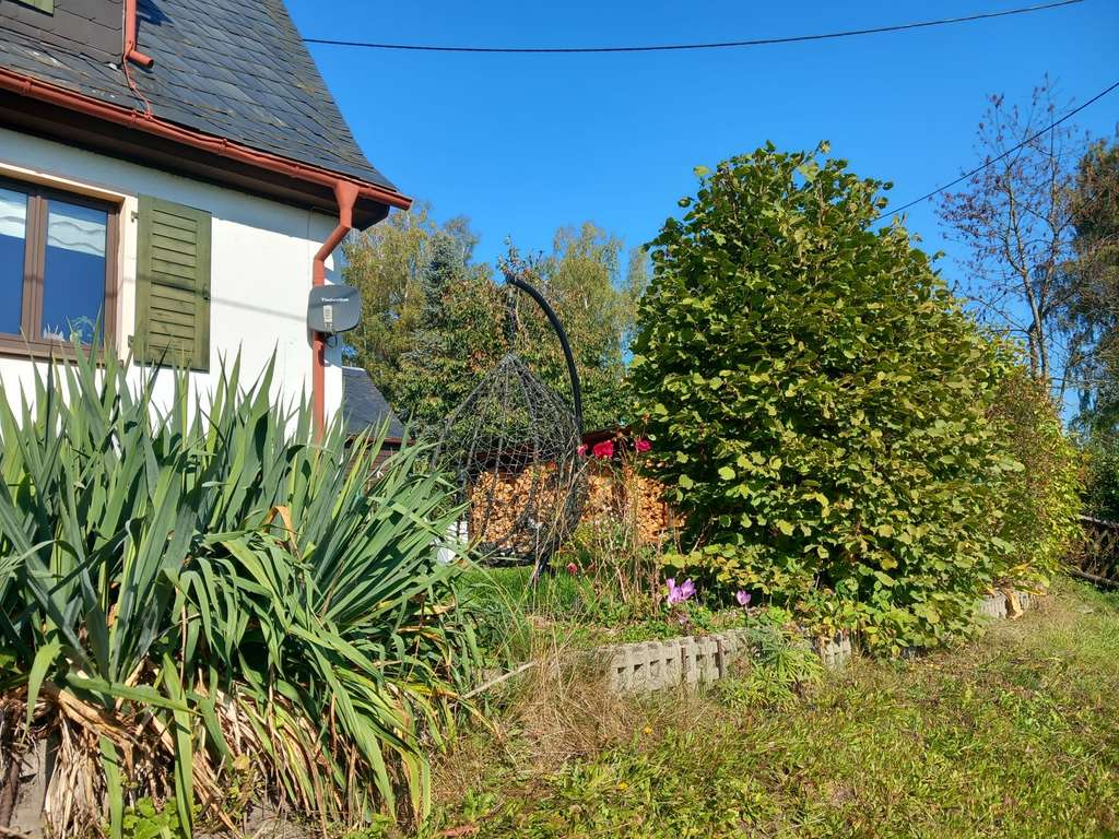 Immobilie in Adorf/Vogtland - Kleine Doppelhaushälfte in idyllischer Lage bei Adorf - Bild 2