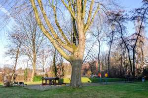 Klein, fein, Dein – Gerscheder Weiden 47, 45357 Gerschede, Essen – Vorschaubild 14