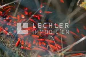 EINLADUNG ZUM OPEN HOUSE | 15.11.2025 | 11:00 BIS 12:00 UHR – Die vollständige Adresse der Immobilie erhältst du vom Anbieter., 71229 Leonberg – Vorschaubild 11