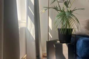 Wunderschön möblierte, frisch sanierte Wohnung in Schöneberg mit Sonnenbalkon & EBK – Traegerstr. 8, 12159 Schöneberg, Berlin – Vorschaubild 1