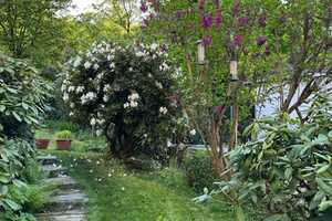 Freistehendes Einfamilienhaus direkt am Wald mit tollem Garten und Blick in Kelkheim-Fischbach! – Main-Taunus-Kreis – Vorschaubild 21