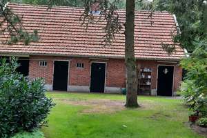 herrliches Anwesen in Alleinlage von Osterwald – Hauptstraße 32, 49828 Osterwald – Vorschaubild 15