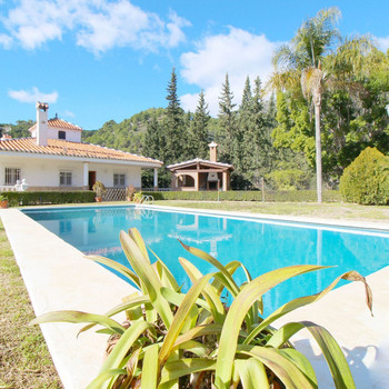 FINCA 74.000 m. Wasser, Avocados und Zitrusfrüchte. Alozaina. Málaga
