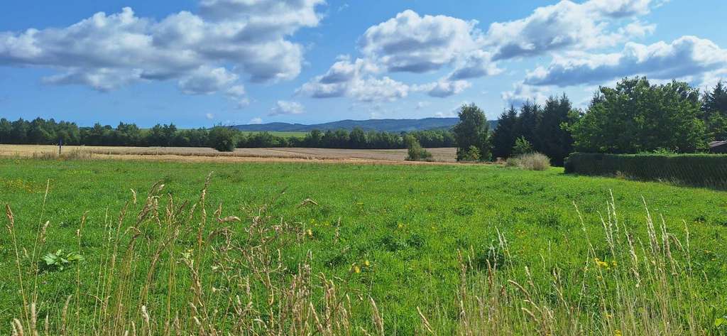Immobilie in Barchfeld-Immelborn - Bau doch einfach mit! Geld sparen durch Eigenleistung! Massiver Bungalow bei Bad Salzungen - Bild 4