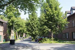 modernisierter Altbau, grün und ruhig mit Bus fast vor der Tür
