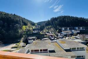 Viel Platz für unterschiedliche Lebenskonzepte in Gütenbach – Hintertal 4, 78148 Gütenbach – Vorschaubild 1