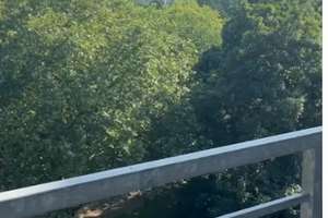 Top-Lage! Bezugsfreie 3-Zi.-Wohnung am Westfalenpark & Stellplatz – Sckellstraße 4, 44141 Westfalendamm, Dortmund – Vorschaubild 6