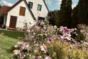 Gemütliche 3-Zimmer-Wohnung in ruhiger Lage ab 01.10.2026