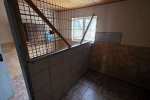 DHH auf großzügigem Anwesen mit Hundepension/- schule – Ideal für Selbstnutzer & Investoren – Dietlinger Straße 233, 75179 Brötzingen, Pforzheim – Vorschaubild 18