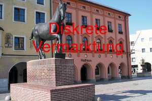 DER KLASSIKER !!! Moderner, lichtdurchfluteter Bungalow am Stadtrand der Kreisstadt Pfarrkichen – Rottal-Inn (Kreis) – Vorschaubild 1