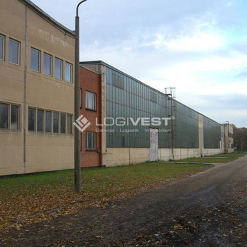 Lager- und Produktionsfläche mit Lastenaufzug und Kühlhalle!