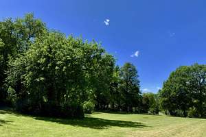 Property thumbnail 11