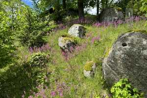 Naturpark Bayerischer Wald: Großes Landhaus m. Nebengebäuden u. ca. 8000 m² parkähnlichen Grundstück – Regen (Kreis) – Vorschaubild 9