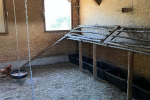 Bauernhof im Bayerischen Wald mit 51.140 m2 – Die vollständige Adresse der Immobilie erhältst du vom Anbieter., 94545 Hohenau – Vorschaubild 23