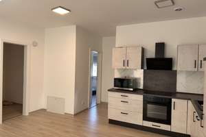 Neue gebaute Wohnung zu vermieten  – Die vollständige Adresse der Immobilie erhältst du vom Anbieter., 77787 Nordrach – Vorschaubild 4