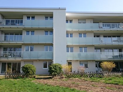 Single wohnung menden
