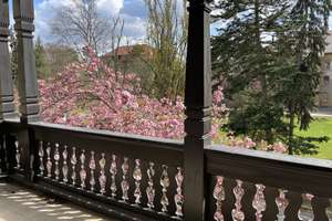 Neu Sanierte 5 Zimmer Etagenwohnung mit großer Terasse