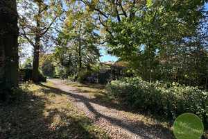 ** EIN-familienhaus Traum ** 5 Zimmer ** ca. 311 qm Grundstück ** Garten mit altem Baumbestand ** – Marloffsteiner Straße 82, 90411 Nürnberg – Vorschaubild 8