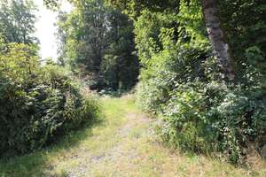 Hoch hinaus - Ihre Villa mit Park! – Die vollständige Adresse der Immobilie erhältst du vom Anbieter., 95233 Helmbrechts – Vorschaubild 12