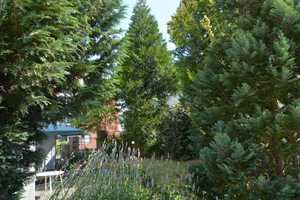 Solides Mehrfamilienhaus in Stolberg Mühle – Aachen (Kreis) – Vorschaubild 8