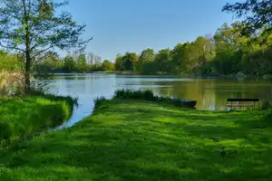 Natur pur – Einfamilienhaus mit großem Grundstück und Seenähe – Mecklenburg-Strelitz (Kreis) – Vorschaubild 29