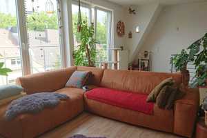 Property thumbnail 13