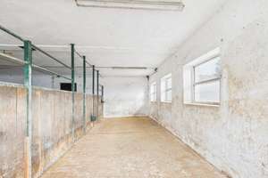 Ländliches Anwesen ideal für Pferdehaltung – mit Wiese und Stall – Die vollständige Adresse der Immobilie erhältst du vom Anbieter., 96190 Untermerzbach – Vorschaubild 18