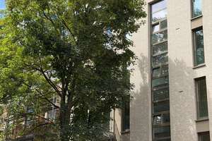Einziehen und direkt Wohnfühlen - 1 ZKB Wohnung – 40235 Flingern Nord, Düsseldorf – Vorschaubild 10