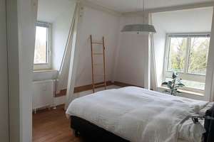 Junkersdorf - Helle DG-Maisonette - Dachterrasse - EBK - Gartennutzung - frei ab 01.09.2026 – Sterrenhofweg 8a, 50858 Junkersdorf, Köln – Vorschaubild 13