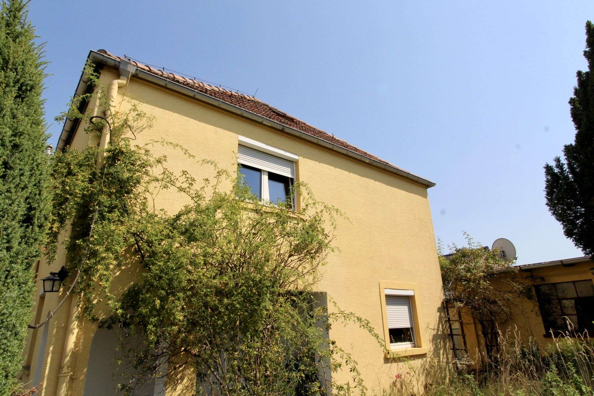 Riesen Chance- Freistehendes Einfamilienhaus im Dresdner Norden, Dresden – Bild 3