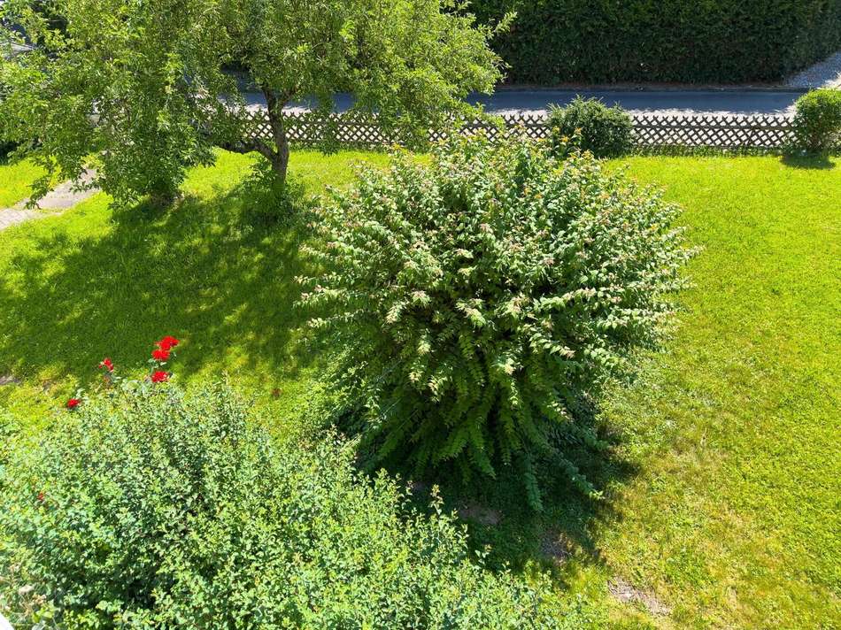 Gartenansicht vom Balkon