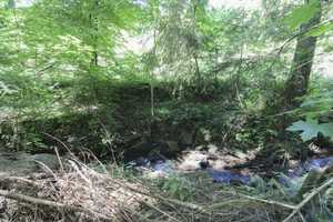 Zögern Sie nicht: Gepflegte Doppelhaushälfte mit Garten& Garage  – Holzminden (Kreis) – Vorschaubild 13