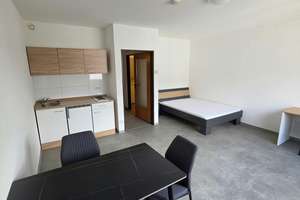 Vollmöblierte 1-Zimmer-Wohnung - modern  - 29 m² - sofort bezugsfrei!