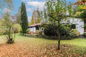 Grüne Oase: Villen-Bungalow mit großem, sonnigen Garten in naturnaher Lage! – Fürstenfeldbruck (Kreis) – Vorschaubild 4