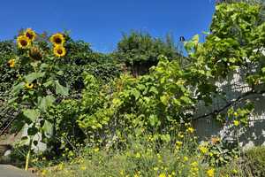Kleines Einfamilienhaus mit Wohlfühlcharakter, dazu Garage und Garten in ruhiger Lage von Lomersheim – Enzkreis – Vorschaubild 36