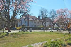 Exklusive Stadtvilla mit historischem Charme in begehrter Lage – Die vollständige Adresse der Immobilie erhältst du vom Anbieter., 12205 Lichterfelde, Berlin – Vorschaubild 25
