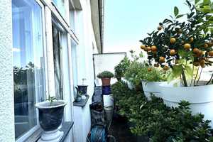 Property thumbnail 15