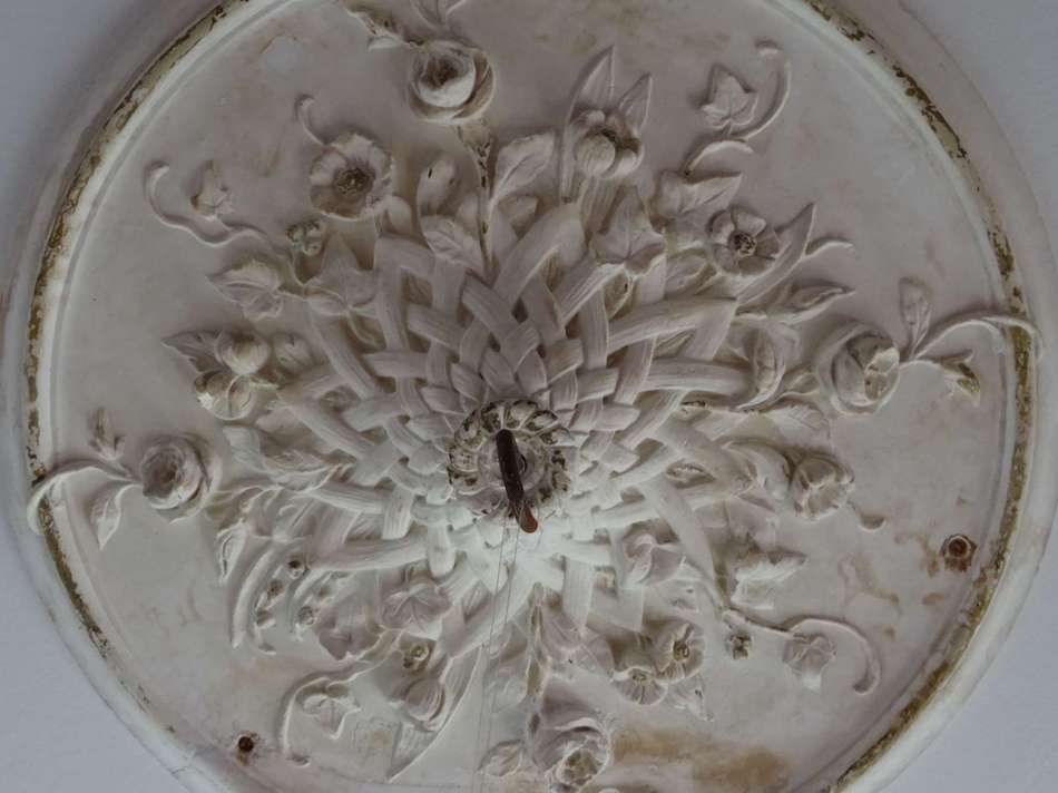 Stuckrosette Arbeitszimmer