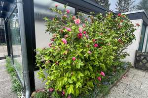 Property thumbnail 15