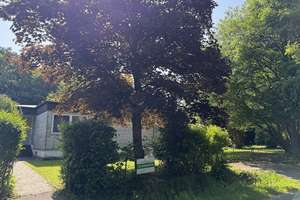 Bungalow in der Schwerzfelder Straße in Roetgen – Die vollständige Adresse der Immobilie erhältst du vom Anbieter., 52159 Roetgen – Vorschaubild 3